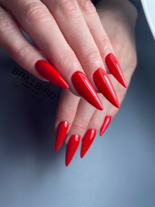 Objevte výběr těch nejkrásnějších červených tónů, které Vám dodají sebevědomí i sváteční lesk.♥️ Inspirujte se od našich...